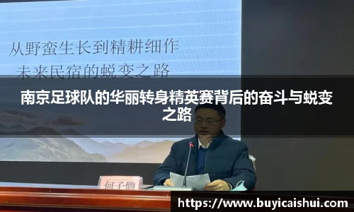 南京足球队的华丽转身精英赛背后的奋斗与蜕变之路